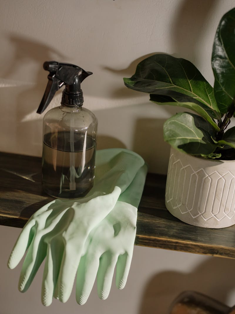 Professional eco-friendly mattress cleaning